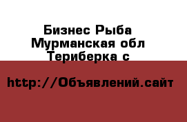 Бизнес Рыба. Мурманская обл.,Териберка с.